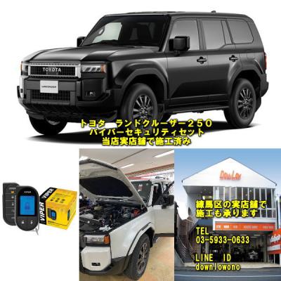 カーオーディオ専門店ダウンロー - VIPERカーセキュリティ（バイパー