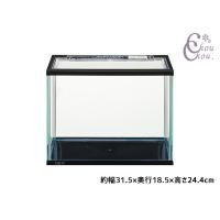 マリーナS 水槽 ブラック MR-300BK-N 傷のつきにくいガラス水槽とプラフタのセット 観賞魚用品 水槽 ガラス水槽 GEX 送料無料 | chou chou.