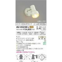 AU45238L コイズミ 屋外用スポットライト LED（電球色） センサー付 | 和風・和室 柳生照明