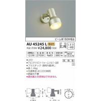 AU45245L コイズミ 屋外用スポットライト LED（電球色） | 和風・和室 柳生照明