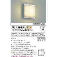 AU45915L コイズミ ポーチライト LED（電球色） | 和風・和室 柳生照明