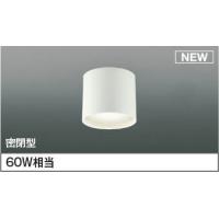 コイズミ 防雨防湿型シーリングライト LED（昼白色） AU54790 | 和風・和室 柳生照明