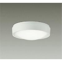 ダイコー 軒下用誘導灯 ホワイト LED(昼白色) DEG-40234WF | 和風・和室 柳生照明
