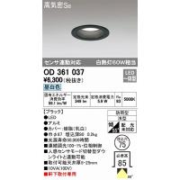 OD361037 オーデリック 軒下用ダウンライト LED（昼白色） センサー付 | 和風・和室 柳生照明
