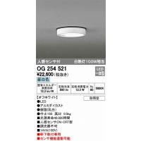 OG254521 オーデリック 軒下用シーリングライト LED（昼白色） センサー付 | 和風・和室 柳生照明