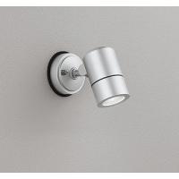 オーデリック 屋外用スポットライト シルバー LED（昼白色） 広角 OG254571NR | 和風・和室 柳生照明