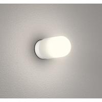 オーデリック 浴室灯 LED(電球色) OG254766LR (OG254766LD 代替品) | 和風・和室 柳生照明