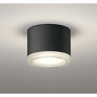 オーデリック 非常灯・誘導灯 ブラック LED（電球色） OR037038 | 和風・和室 柳生照明