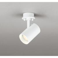 オーデリック スポットライト ホワイト LED（電球色） 広角 OS256497LR | 和風・和室 柳生照明