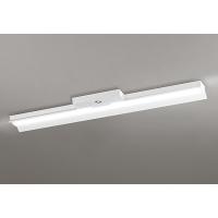 オーデリック LED-LINE 誘導灯 非常用ベースライト 40形 反射笠付 LED（温白色） XR506011R1D | 和風・和室 柳生照明