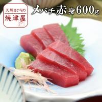 送料無料　メバチマグロ赤身 6人前（約600g）北海道、沖縄へは700円加算 父の日 ギフト プレゼント おつまみ 海鮮 グルメ | 天然まぐろの焼津屋ヤフー店