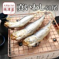送料無料 生イワシ 北海道産 根室 釧路 大 2kg前後尾前後 獲れたて 生いわし 水揚げ日に空輸で翌日着 大羽イワシ 最高級 鰯 鰮 航空便 A077 001 02 どさんこファクトリー北海道 通販 Yahoo ショッピング