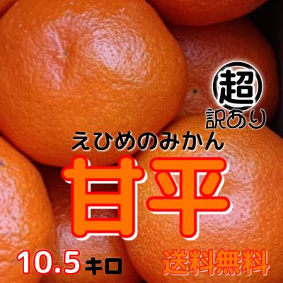 甘平のおすすめ人気商品一覧 通販 - Yahoo!ショッピング
