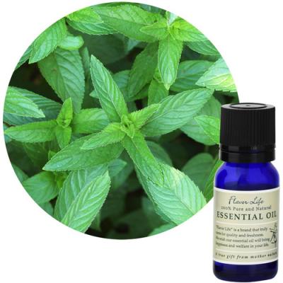 東京ペパーミント（車、バイク、自転車）のおすすめ人気商品一覧 通販