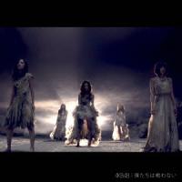【CD】AKB48 ／ 僕たちは戦わない(Type B)(通常盤)(DVD付) | ヤマダデンキ インテリア店