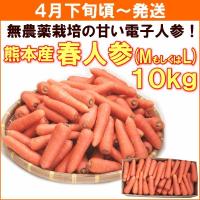 にんじん 人参 無農薬 ４月下旬頃から発送・熊本県産「春人参」 １０ｋｇ 送料込 