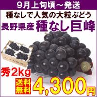 ぶどう 巨峰 ９月上旬頃から発送・長野県産「種なし巨峰」 秀品 ２ｋｇ（４〜６房） 