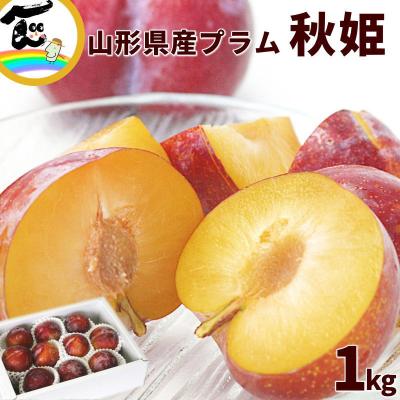 すもも  10kg スモモのおすすめ人気商品一覧 通販 - Yahoo!ショッピング