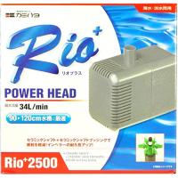 リオプラスパワーヘッド2500　50Hz（東日本用） | ヤマゲンペットYahoo!店