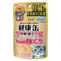 アイシア 健康缶パウチ シニア猫用 皮膚・被毛ケア [キャットフード] 40g | ヤマキシヤフー店