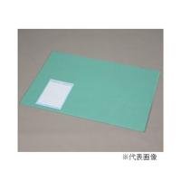 アイリスオーヤマ デスクマット 139×69cm クリア/グリーン DMT-1369PN | ヤマキシヤフー店