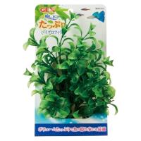 GEX ジェックス 癒し水景 たっぷりハイグロフィラ [プランツアクセサリー] 爆買 | ヤマキシヤフー店