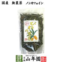 健康茶 国産100% びわ茶 びわの葉茶 100g 無農薬 ノンカフェイン 送料無料 