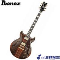 Ibanez ホロウボディ AM93ME / NT | 山野楽器 楽器専門Yahoo!ショップ