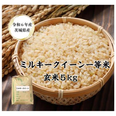 玄米 5kg(うるち米、玄米)の商品一覧|米、ごはん|米、雑穀 玄米 5kg(うるち米、玄米)の商品一覧|米、ごはん|米、雑穀