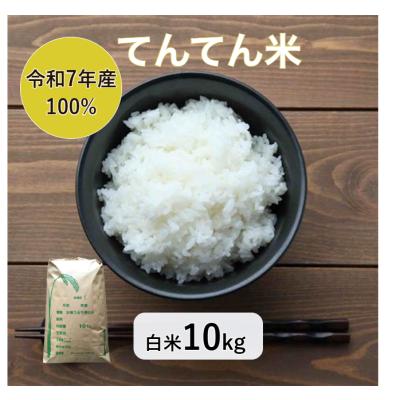 白米【まとめ買い割引】 楽天市場】半額 50％OFF（米・雑穀｜食品）の通販