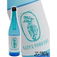 母の日 2024 ギフト　麦焼酎 河童九千坊 ( かっぱきゅうせんぼう ) 本流 25度 720ml / 福岡県 紅乙女酒造 | 酒の番人 ヤマカワ Yahoo!店