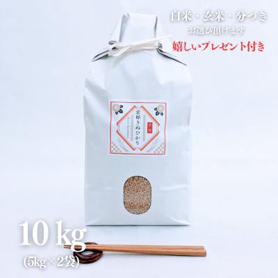 京都丹波産キヌヒカリのおすすめ人気商品一覧 通販 - Yahoo!ショッピング
