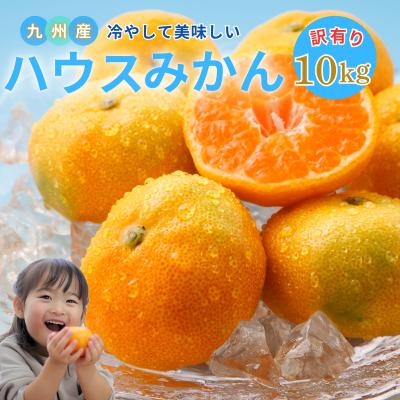 ポンカンのおすすめ人気商品一覧 通販 - Yahoo!ショッピング