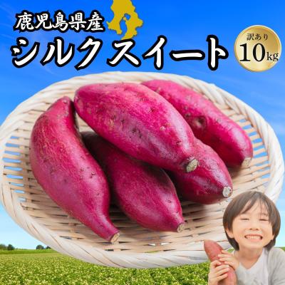 シルクスイートのおすすめ人気商品一覧 通販 - Yahoo!ショッピング