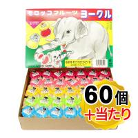 サンヨー製菓 モロッコ フルーツヨーグル 1箱(60個＋当たり分入り) 駄菓子 | 食と暮らしを楽しく リフココ