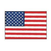 エクスラン万国旗 70×105cm アメリカ | 厨房用品 安吉