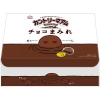 【EC限定品】不二家 カントリーマアムチョコまみれ大容量BOX(500g) | yayoigen