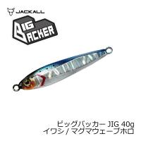 ジャッカル　ビッグバッカー JIG 40g イワシ/マグマウェーブホロ | 釣具のFTO ヤフー店