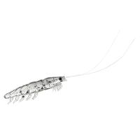 ダイワ　快適リアルオキアミワーム 3L ケイムラシラサ | 釣具のFTO ヤフー店