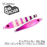 ジャッカル　ビッグバッカー JIG 30g グローピンク＆パープル/レンズホロ | 釣具のFTO