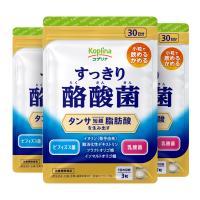 すっきり酪酸菌 90粒 3袋セット90日分【軽やかなカラダづくり/1日3粒/タンサ脂肪酸を生み出す/酪酸菌/ビフィズス菌/乳酸菌/イヌリン】 | コプリナ Yahoo!店