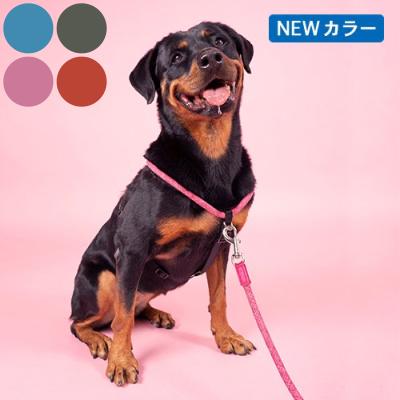 high 5 dogsのおすすめ人気商品一覧 通販 - Yahoo!ショッピング