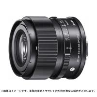 《新品》 SIGMA (シグマ) C 90mm F2.8 DG DN (ソニーE用/フルサイズ対応) | カメラ専門店マップカメラYahoo!店