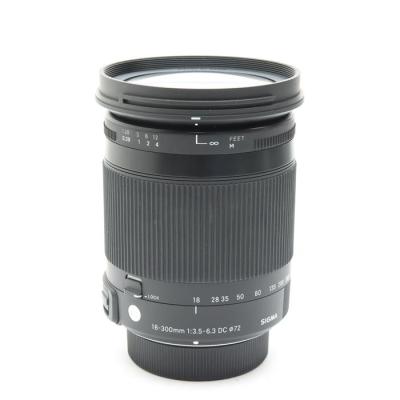 ニコン レンズ300(シグマ/家電)(レンズタイプ:ズーム)の ニコン レンズ300(シグマ/家電)(レンズタイプ:ズーム)の