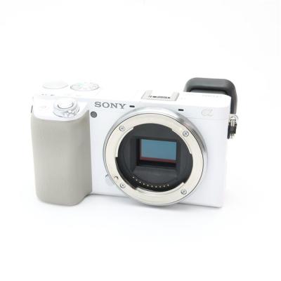 α6100(ミラーレス一眼カメラ)の商品一覧|デジタル一眼カメラ α6100(ミラーレス一眼カメラ)の商品一覧|デジタル一眼カメラ