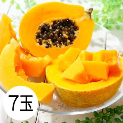 パパイヤ（フルーツ詰め合わせ）｜フルーツ | 食品 のおすすめ