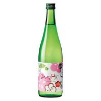 一ノ蔵 ひめぜん Ume 720ml x 12本 ケース販売 OKN 一ノ蔵 宮城県 | ハードリカー ヤフー店