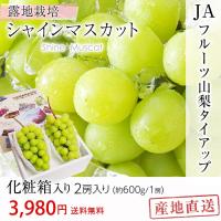 お取り寄せグルメ ぶどう シャインマスカット 贈答用 山梨 フルーツ 1.2kg 600gx2房 露地栽培 産地直送 ギフト 化粧箱入り 送料無料