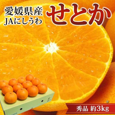 せとか　15玉、10玉セット せとか 15玉、10玉セット せとか特級品（4.5kg）15玉～20
