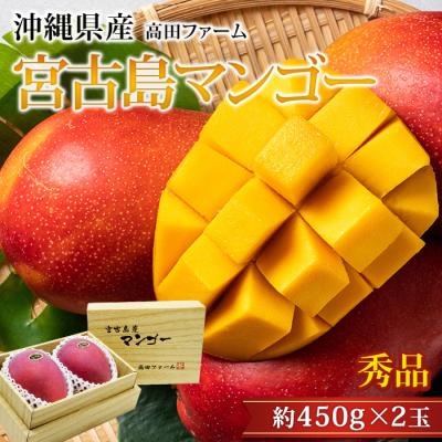 宮古島産マンゴーの商品一覧 通販 - Yahoo!ショッピング